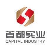 实业投资 首都实业投资的战略选择与未来展望