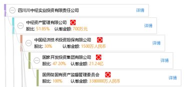 四川川中经实业投资有限责任公司的投资管理策略与实践