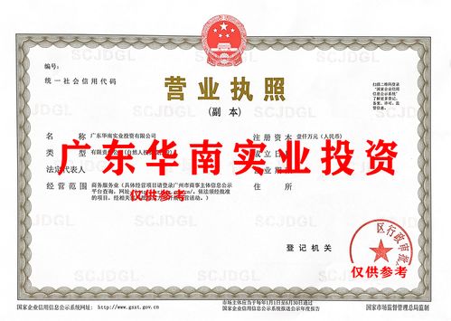 广东实业投资审批与字号转让在投资管理中的关键作用
